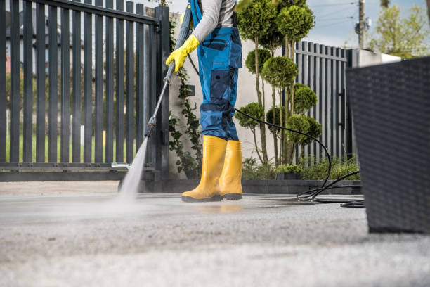 Best Gutter Cleaning  in Greenville, VA